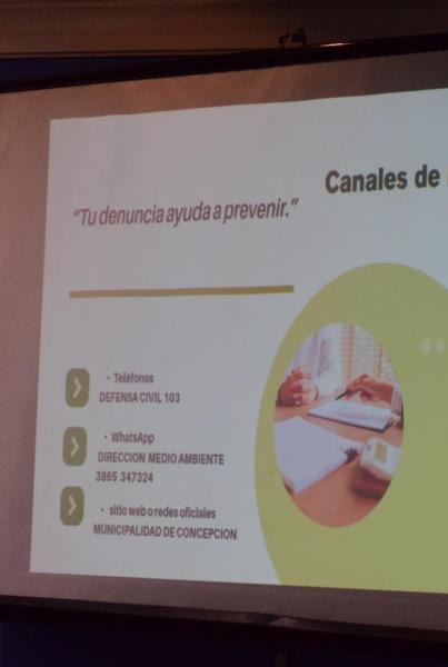 Quema de Cañaverales 